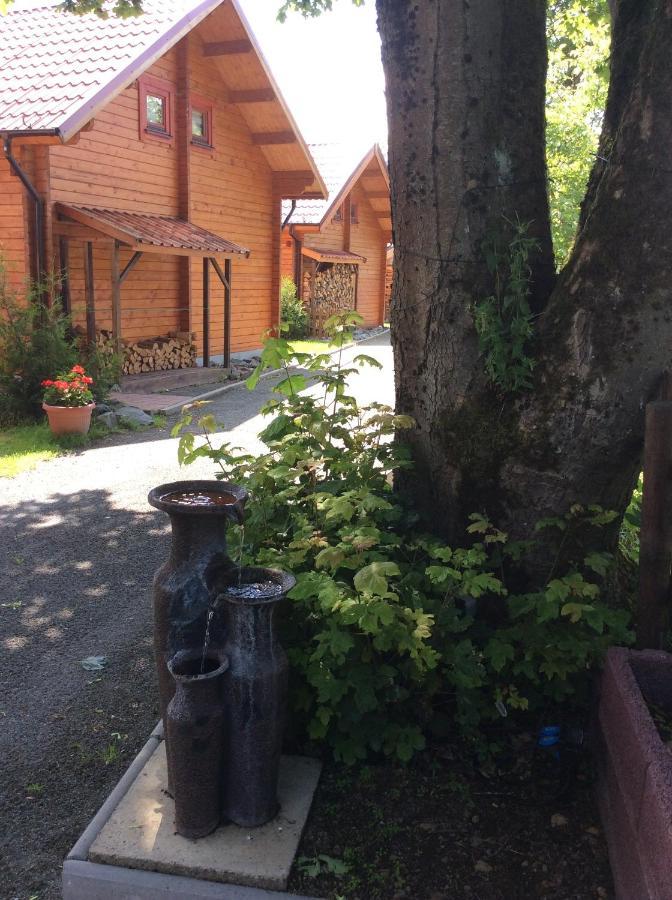 Blockhaus Harzblick4C Βίλα Braunlage Εξωτερικό φωτογραφία